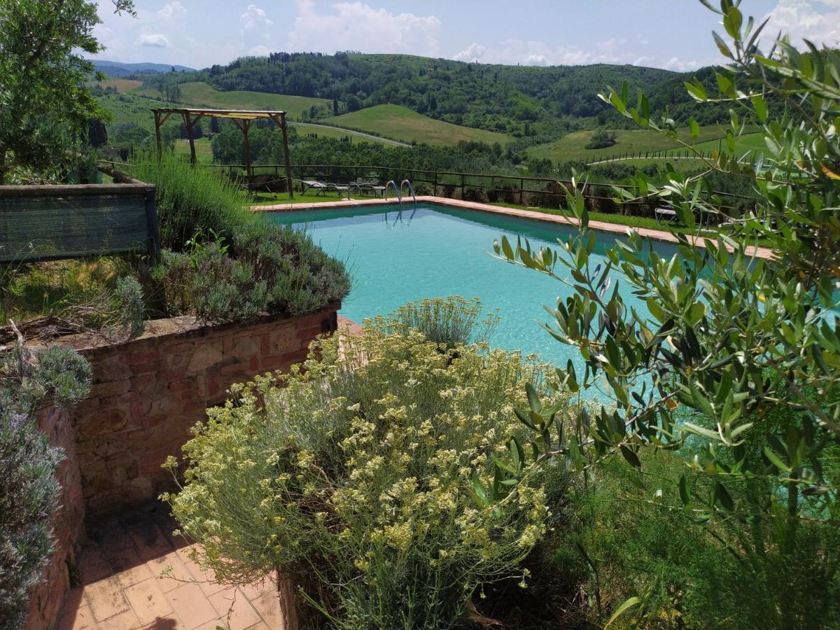 Antonella House -Podere Della Collina Palaia Exterior photo