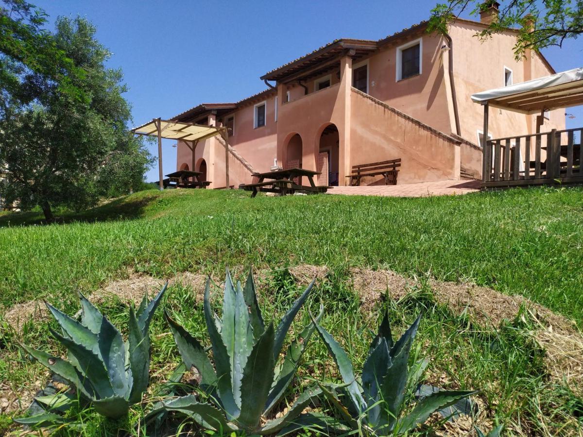 Antonella House -Podere Della Collina Palaia Exterior photo