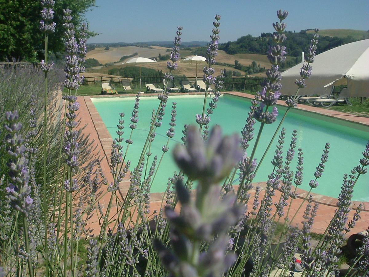 Antonella House -Podere Della Collina Palaia Exterior photo